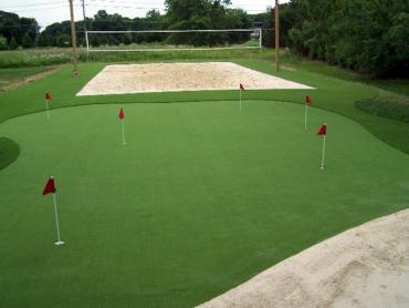 Artificial Grass Photos: Fake Pet Turf Orange California Landscape